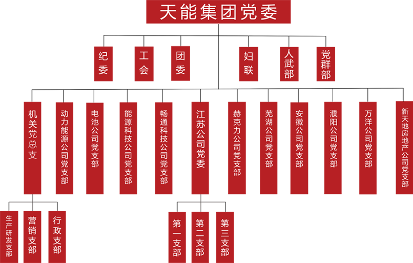 万利国际建团党委组织架构